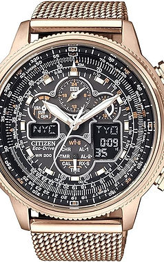 Citizen NAVIHAWK A.T WR200.jpg