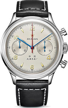 Seagull 1963.jpg