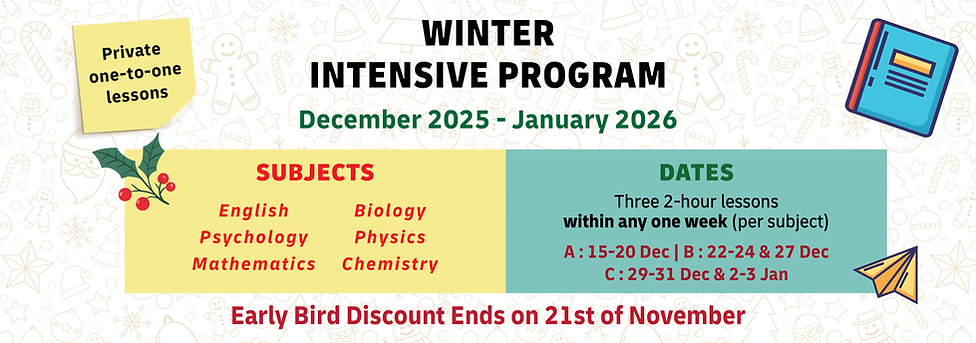 Winter Intensive Program