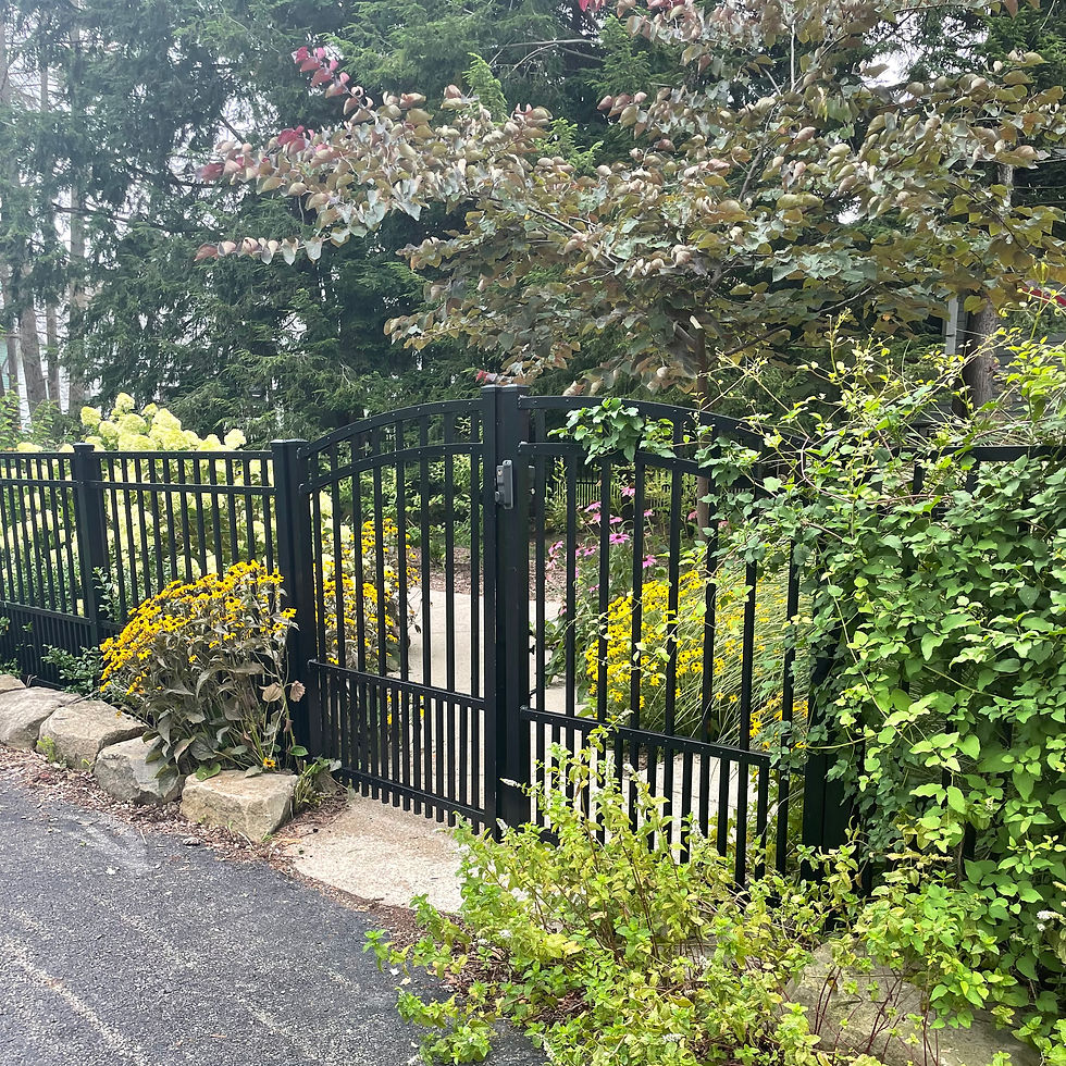 Back entrance gate