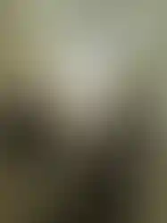 eorenovations-316.webp