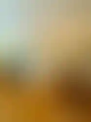 eorenovations-396.webp