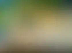 eorenovations-325.webp