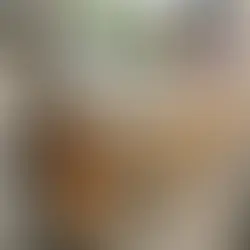 Replacing Rotten Wood: Recognizing the Signs and Finding the Right Solution