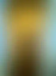 eorenovations-350.webp