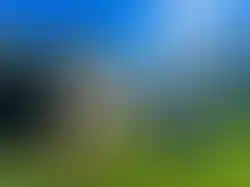 eorenovations-327.webp