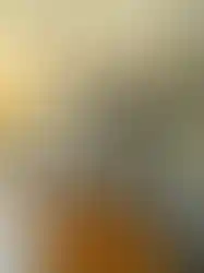 eorenovations-397.webp