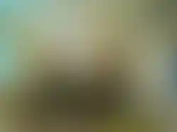 eorenovations-305.webp