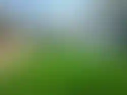 eorenovations-341.webp