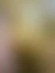 eorenovations-330.webp