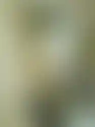 eorenovations-310.webp