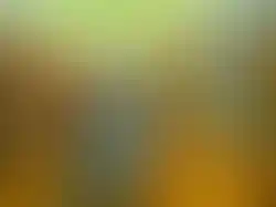 eorenovations-550.webp
