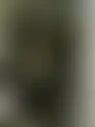 eorenovations-379.webp