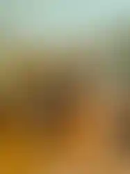 eorenovations-466.webp