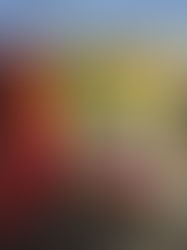 Argentina: Making Mistakes, Friendship and Tackling Loneliness