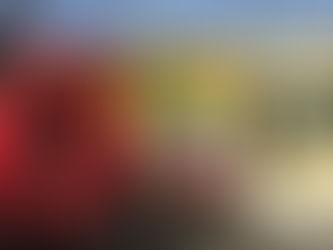 Argentina: Making Mistakes, Friendship and Tackling Loneliness