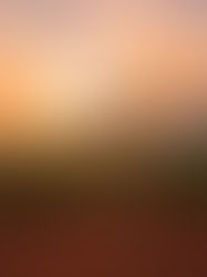 Reclaiming my Cultural Identity in an Internet Age