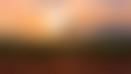 Reclaiming my Cultural Identity in an Internet Age