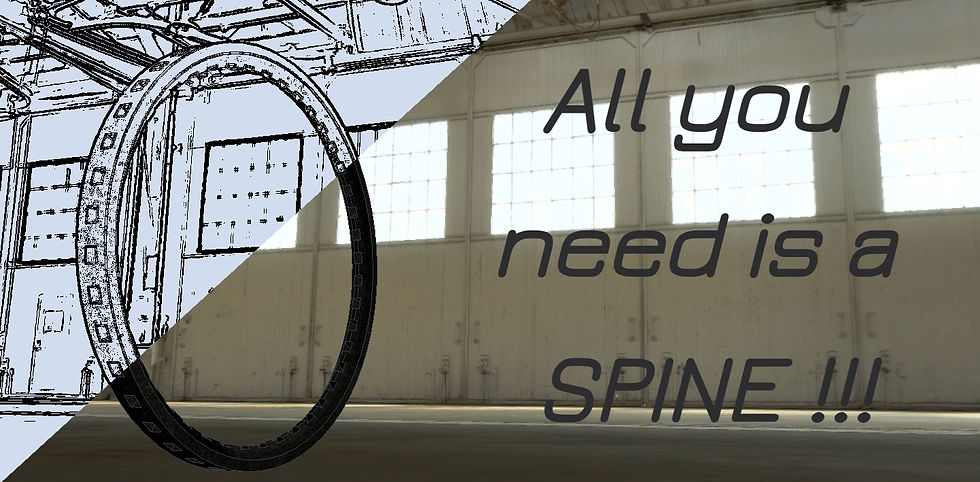 Thumbnail: SPINE TIRE INSERT