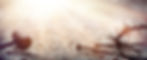 AdobeStock_141211408_Jesus_thorns%26nails_edited.jpg
