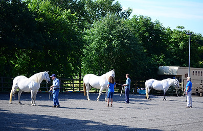Jane & Casey Horses4Change.JPG