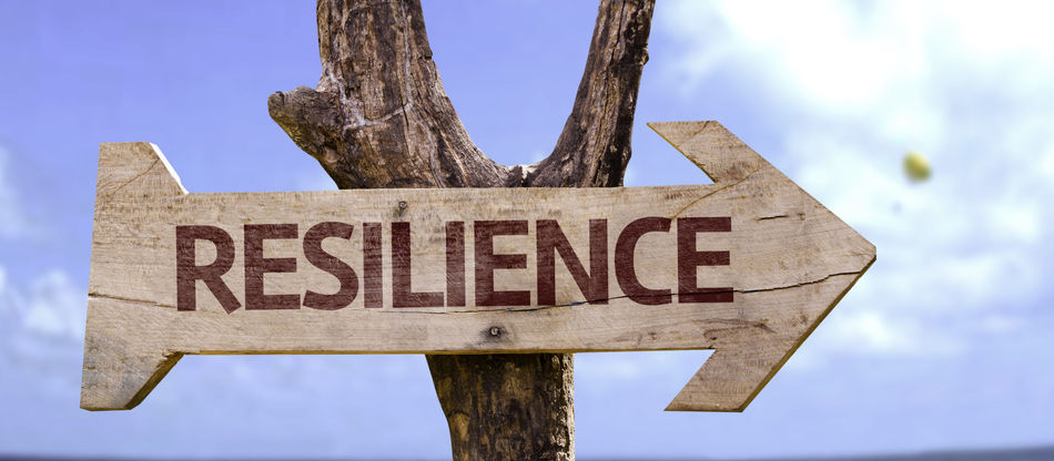 Mastering Resilience: The Definitive Guide for Leaders