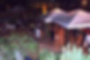 sardeniamilonga 2011