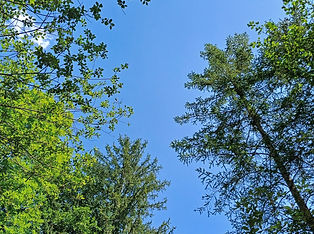 Hintergrundbild