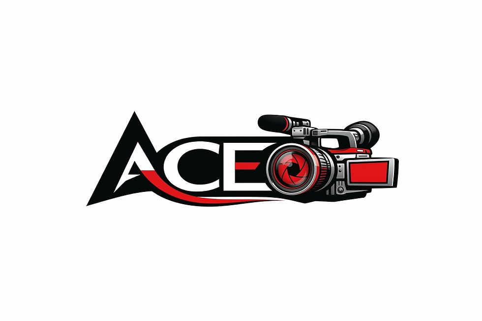 ace performance media logo_00000.jpg
