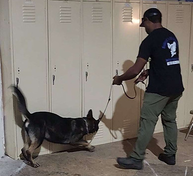 K9 Narcotics Work