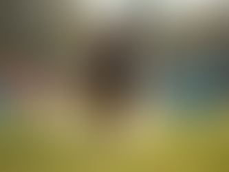 Comprehensive Police Dog Programs Details