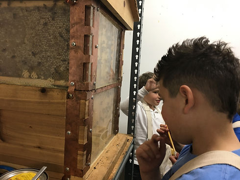 students trying out beekeeper suits