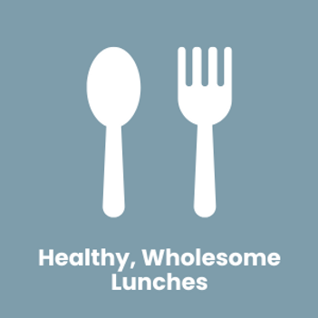 Healthy, Wholesome Lunches