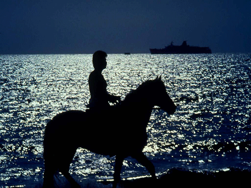 horsebeach