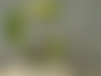 Creciendo Desde Adentro: La Influencia de la Infancia en tu Autoestima