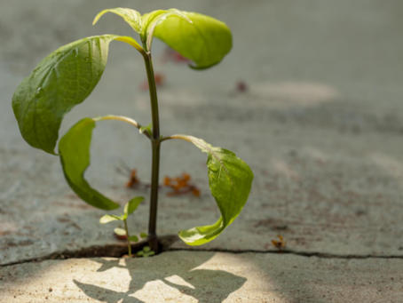 Creciendo Desde Adentro: La Influencia de la Infancia en tu Autoestima