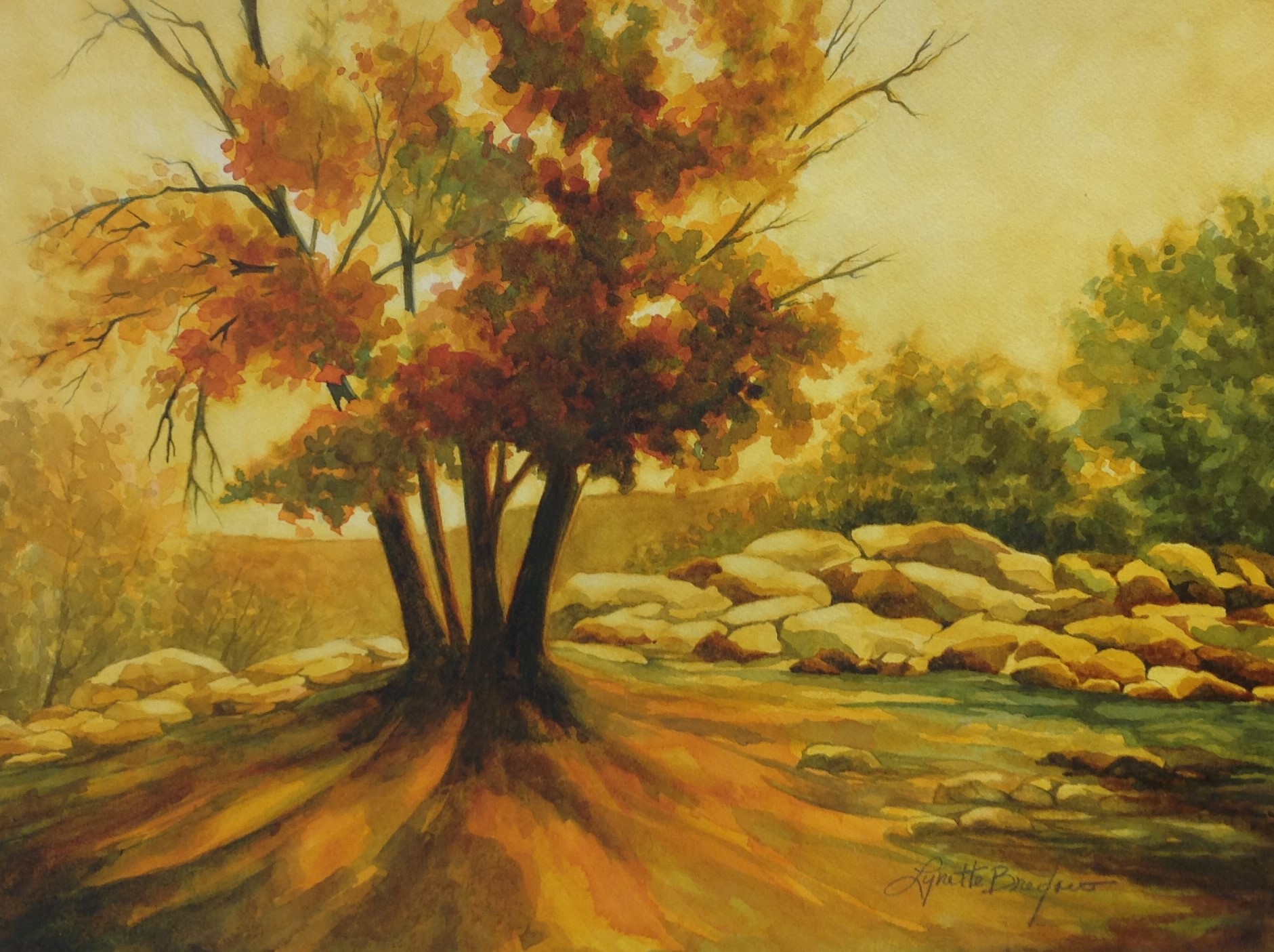 Oil 2 H2O
