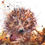 Thumbnail: Hedgie bed
