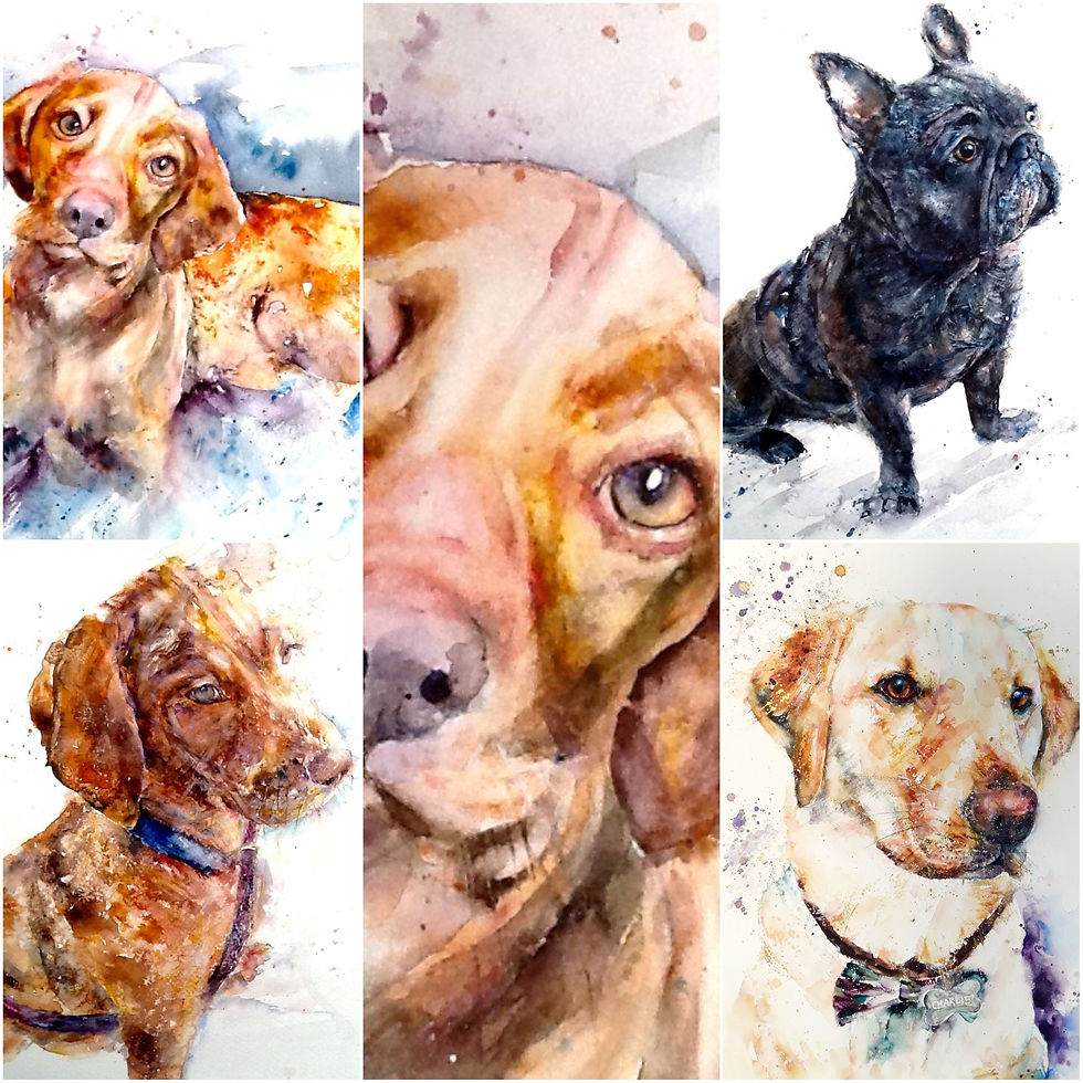 Thumbnail: Privately commissioned animal portraits