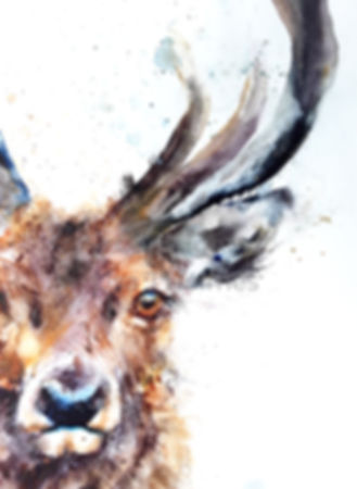 Glory days stag deer original art print