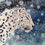Thumbnail: The cool dude leopard