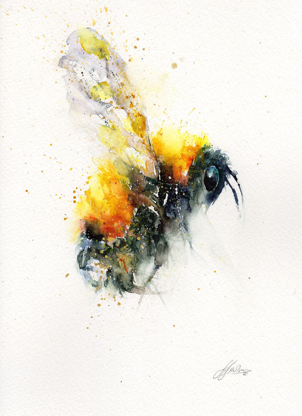 Limited edition print Bee