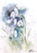 Snowdrops.jpg