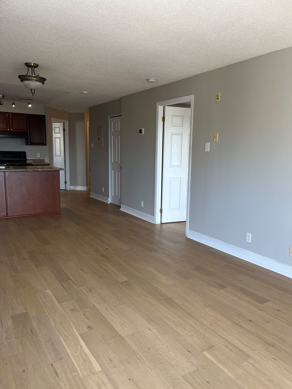 Newly installed light hardwood flooring in an open-concept kitchen and living room, Ottawa home reno