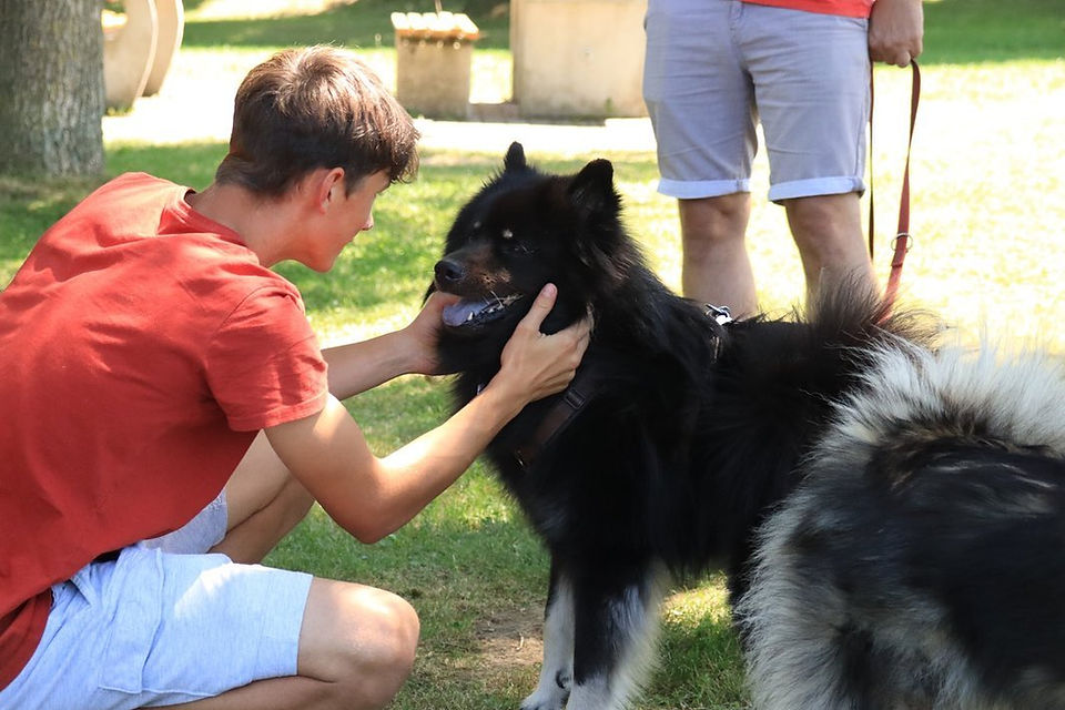 Niklas und Aikdio