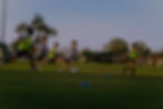 DSC00799_edited.jpg
