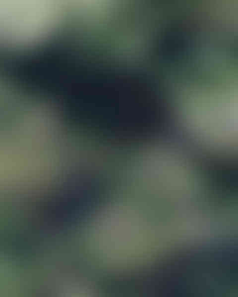 BELMOND HOTELS - LE MANOIR AUX QUAT'SAISONS