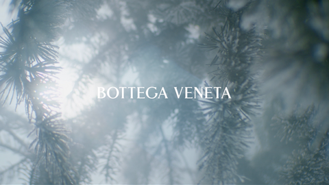 BOTTEGA VENETA - FROZEN GARDEN