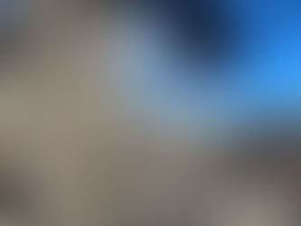 White plum blossoms with round petals blooming on bare branches in early spring in Japan