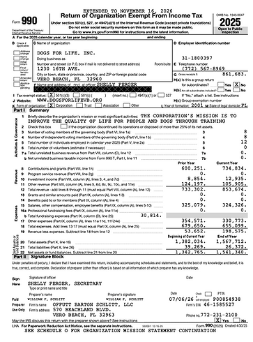 DFL 2025 990 Cover Image.png